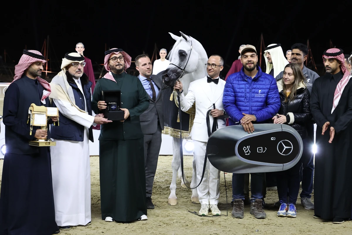 Alexxanderr takes Gold for Saudi Arabia’s Al Sayed Stud (Supplied)