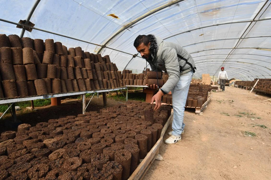 A man arranges rolls of olive pomace at the grounds of start-up Bioheat, on Mar. 3, 2025 in the town of SanHajja near Tunis. (AFP)