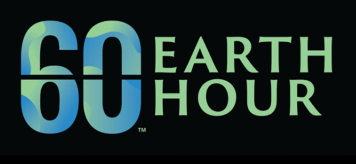 We should have an Earth Hour every hour every day, to remind us of the need to protect and preserve the planet. (WWF)