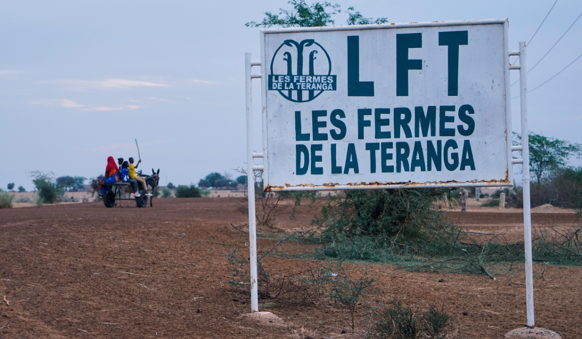 A donkey and cart drive past the African Agriculture's headquarters in Niéti Yone, northern Senegal, Monday, Dec. 9, 2024. (AP)