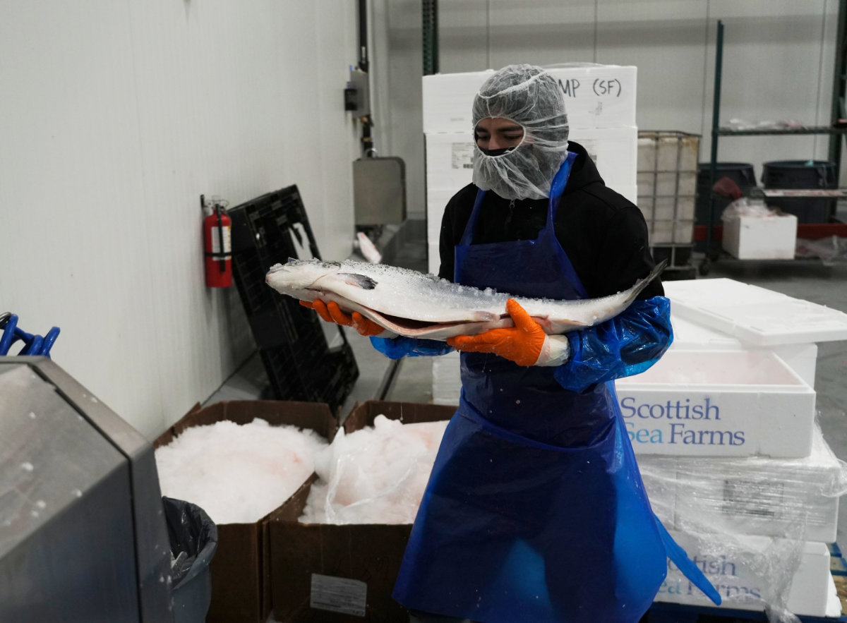 An employee carries a gutted fish at Marine International Products, which imports and sells seafood to sushi restaurants and grocery stores, in Hayward, California, on April 3, 2025. (AP Photo)