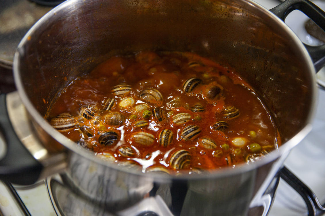 Snails are cooked in a stew for a family to break their Ramadan fast, in Sfax, Tunisia, Mar. 29, 2025. (AP)