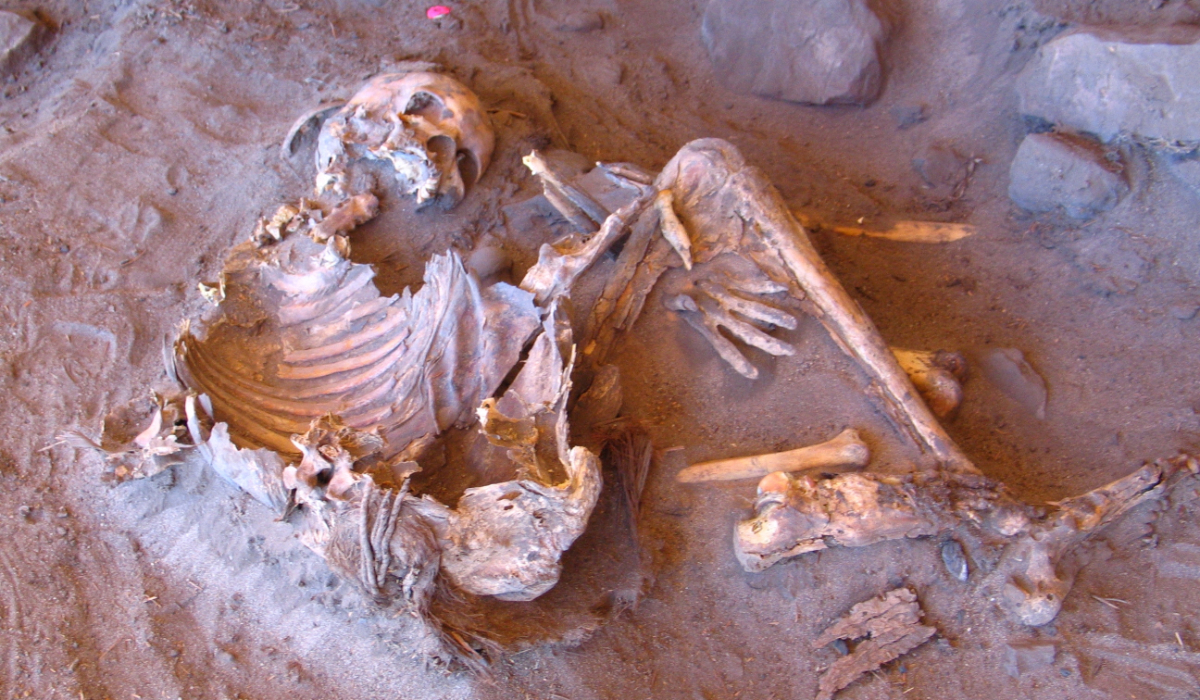 Sahara desert, once lush and green, was home to mysterious human lineage