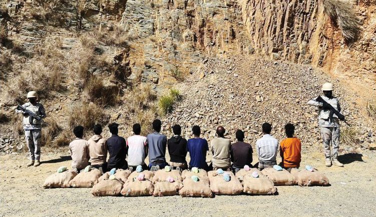 Border Guard patrols in the Al-Dayer sector of the Jazan region resulted in the arrest of 11 Ethiopians for smuggling 288 kg of qat. (Photo/X: Border Guard)