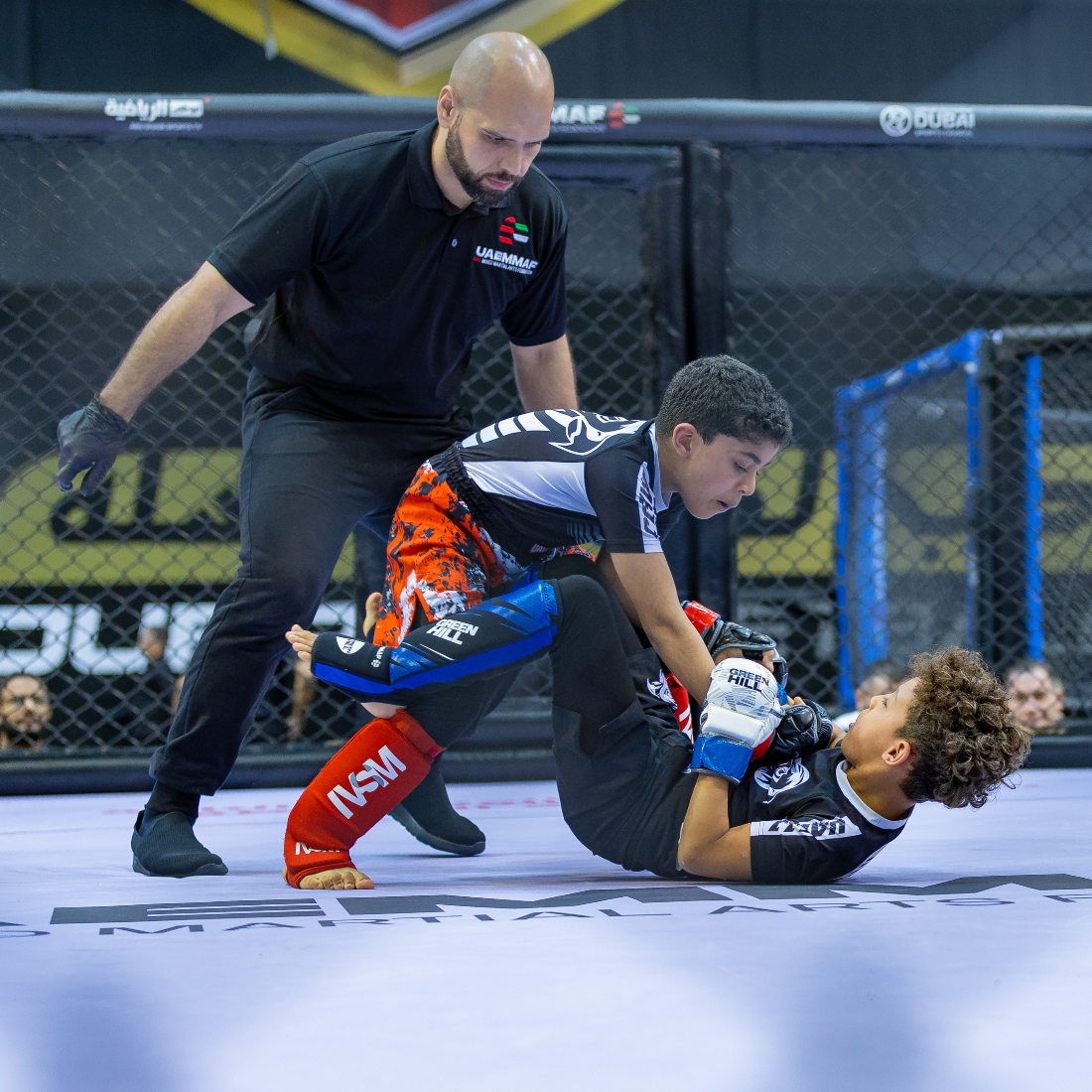 The UAE National MMA Championship will take place on April 12-13 in Dubai. (UAEJJF)