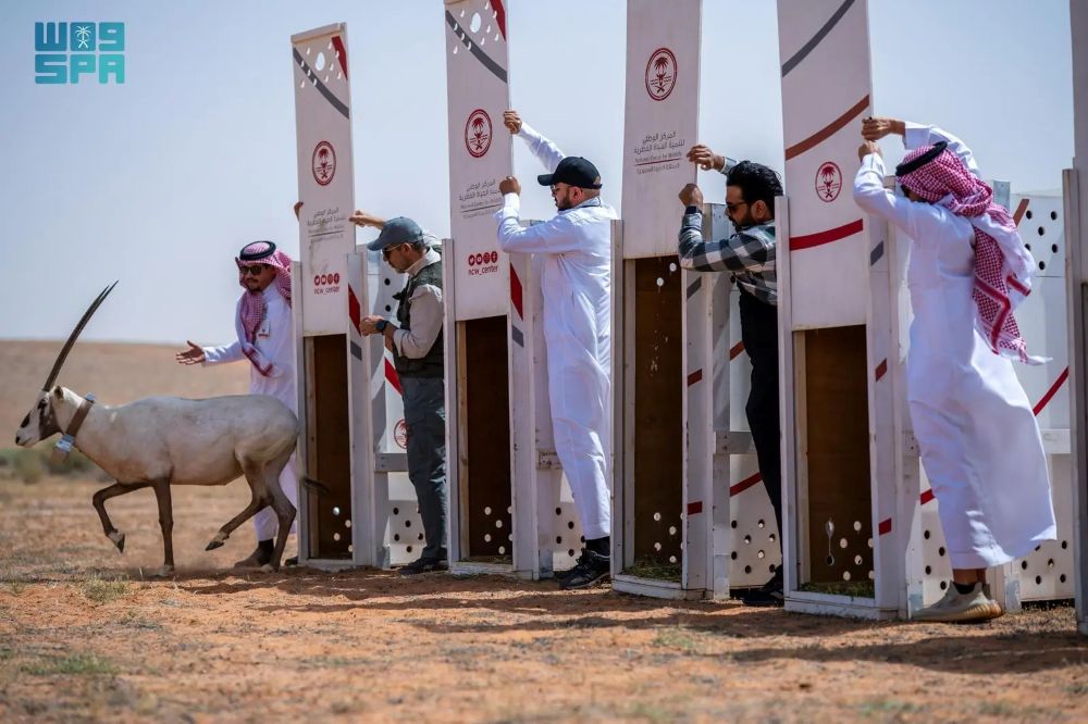 Endangered species find new home in Saudi royal reserve