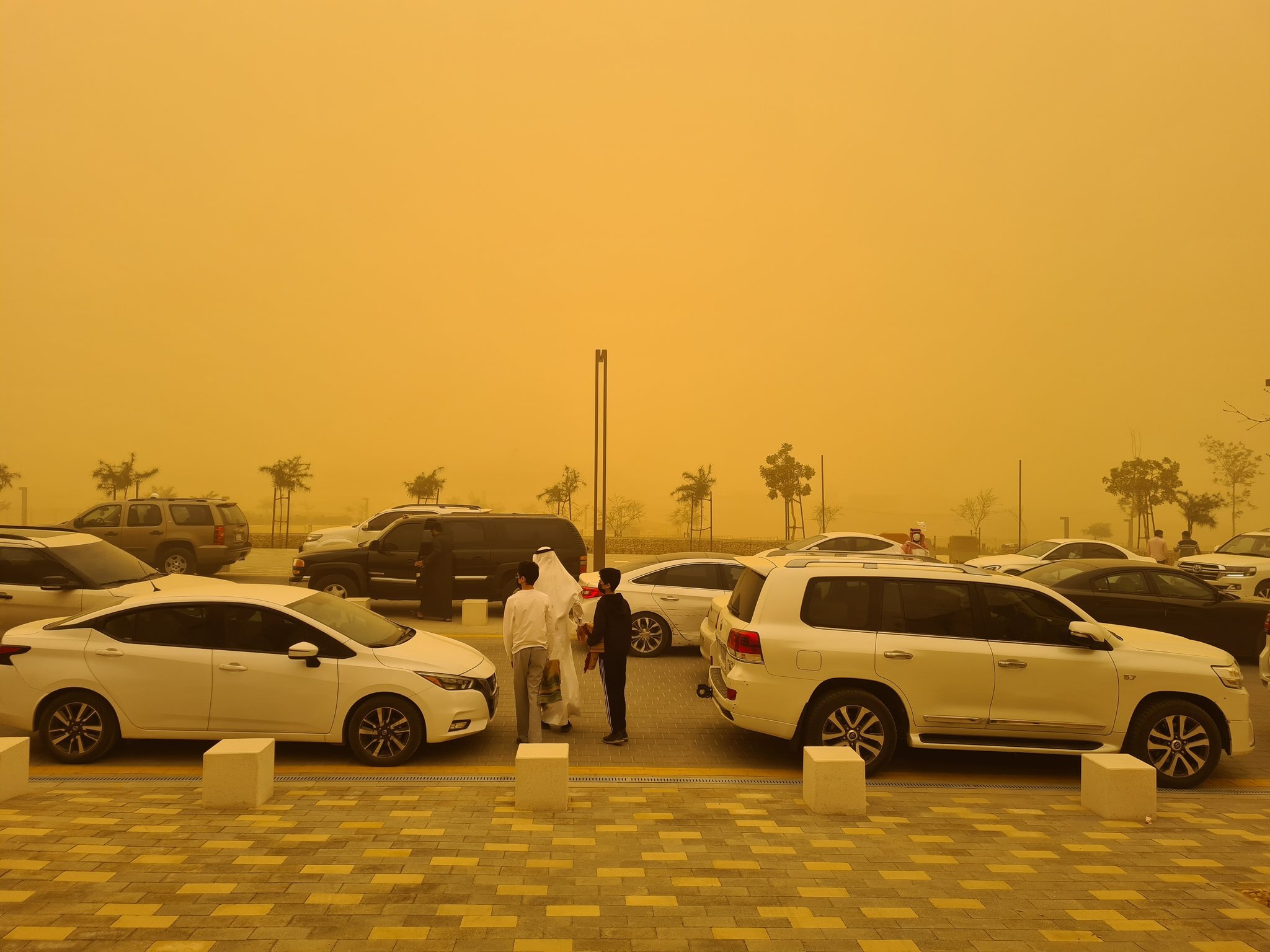 A massive sandstorm whipped up by high winds hit Riyadh on Friday, filling the sky with dust. (Rashid Hassan)