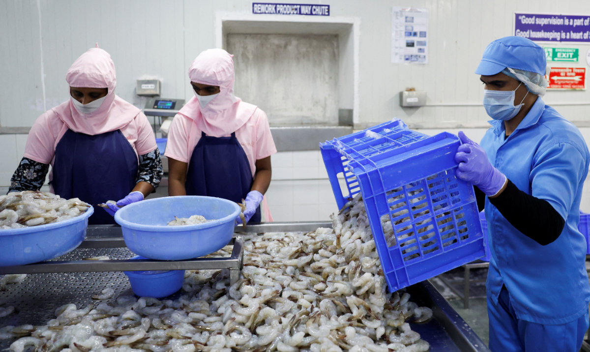 Workers sort shrimps inside a processing unit at a shrimp factory situated on the outskirts of Visakhapatnam, India, April 10, 2025. (Reuters)