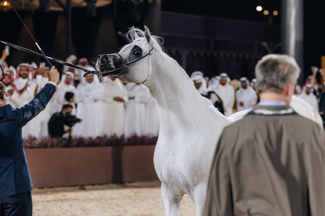 Alexxanderr triumphs at Global Champions Arabians Tour in Riyadh