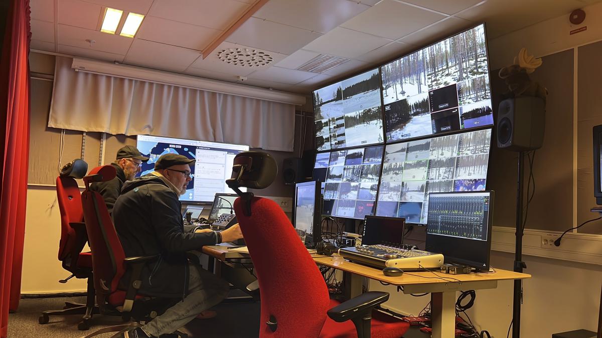 Millions tune in for 24-hour live coverage of Sweden’s epic moose migration