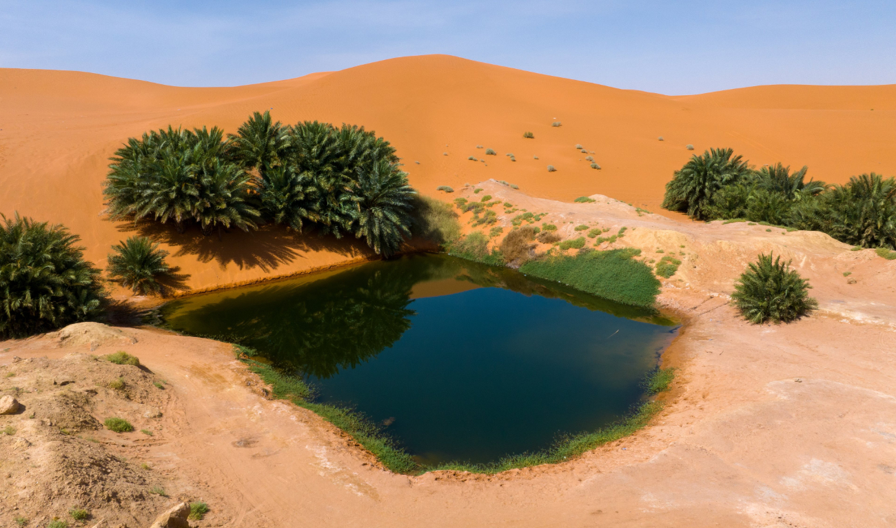 A view of North Riyadh Geopark, which fossilized coral reefs dating back over 150 million years. (SPA)