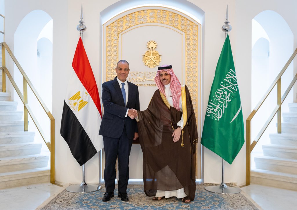 Saudi and Egyptian foreign ministers hold talks on cooperation, discuss situation in Gaza