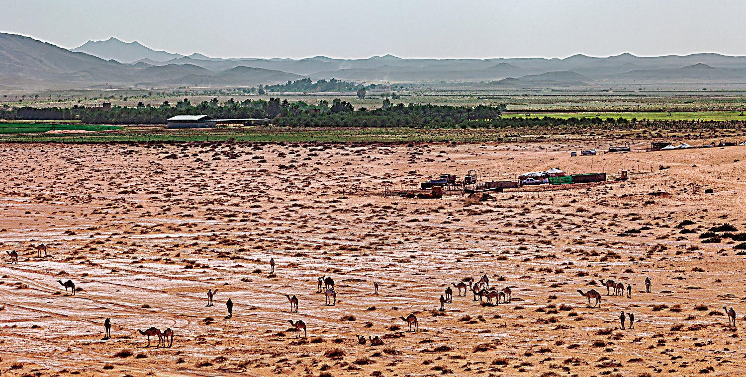 Researchers at Northumbria University discovered there were multiple humid phases in central Arabia over millions of years. (Getty Images)