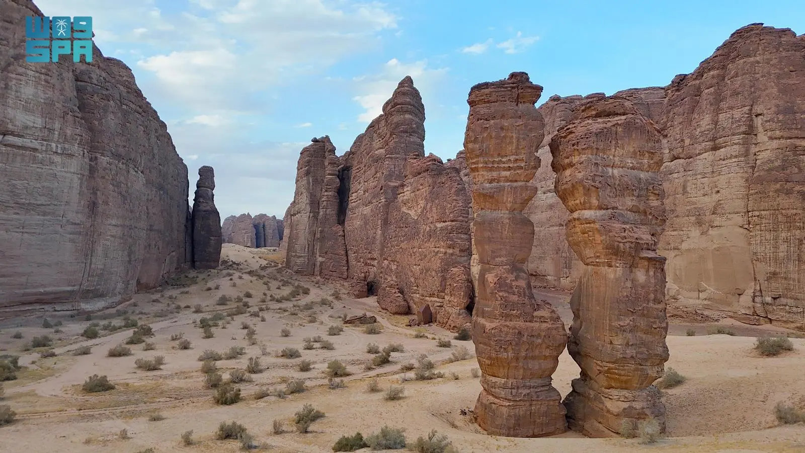 AlUla marks Environment Week 2025