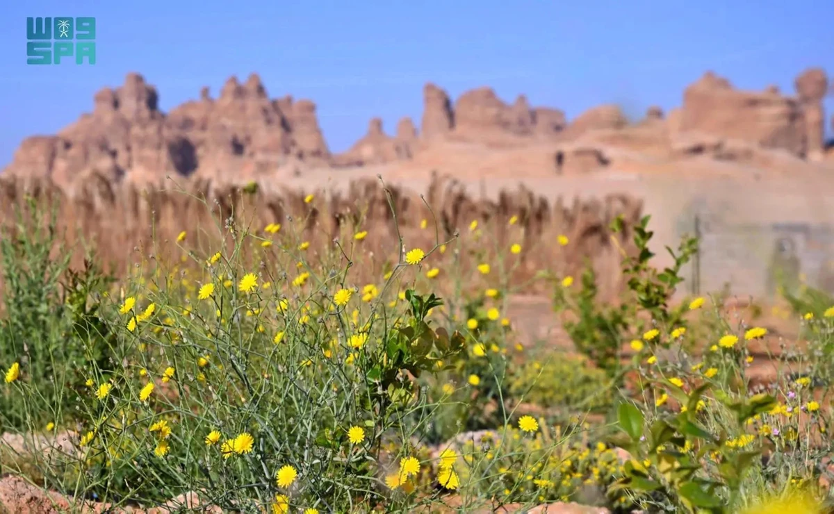 AlUla marks Environment Week 2025