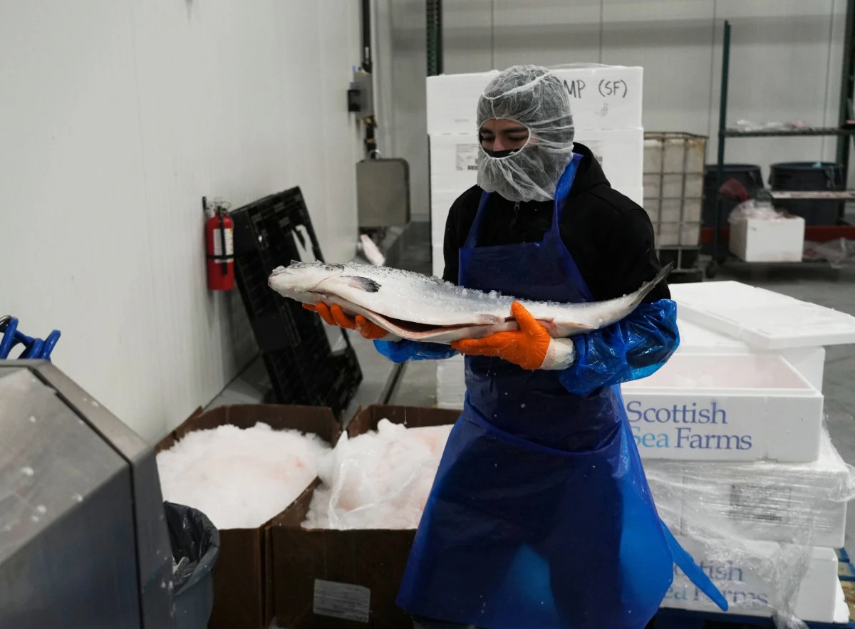 An employee carries a gutted fish at Marine International Products, which imports and sells seafood to sushi restaurants and grocery stores, in Hayward, California, on April 3, 2025. (AP Photo)