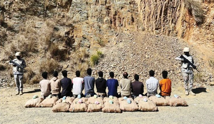 Border Guard patrols in the Al-Dayer sector of the Jazan region resulted in the arrest of 11 Ethiopians for smuggling 288 kg of qat. (Photo/X: Border Guard)