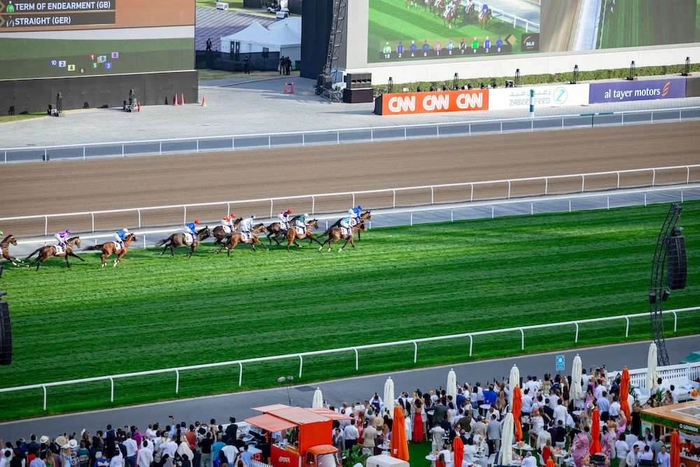 The 2025 Dubai World Cup was attended by over 65,000 racing fans. (Supplied)
