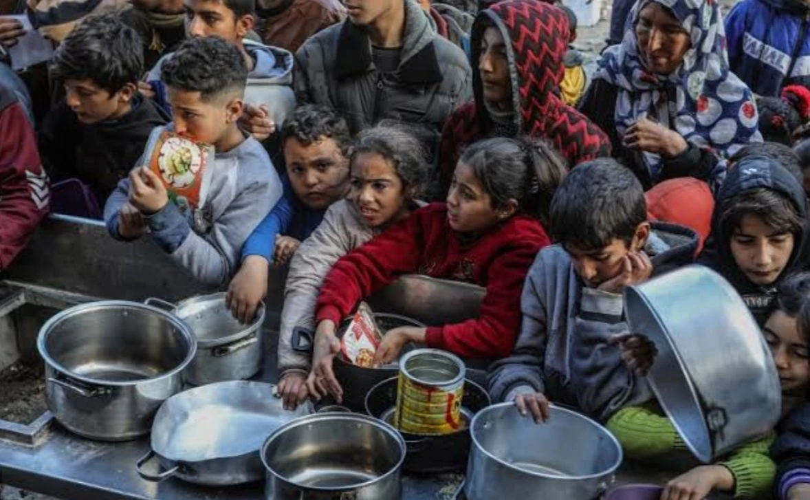 Gazans resort to turtle meat in hunt for food