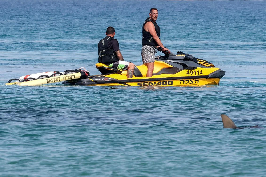 Man missing after reported shark attack off Israel’s coast