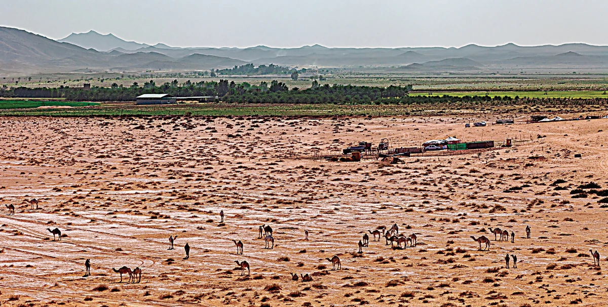 Researchers at Northumbria University discovered there were multiple humid phases in central Arabia over millions of years. (Getty Images)