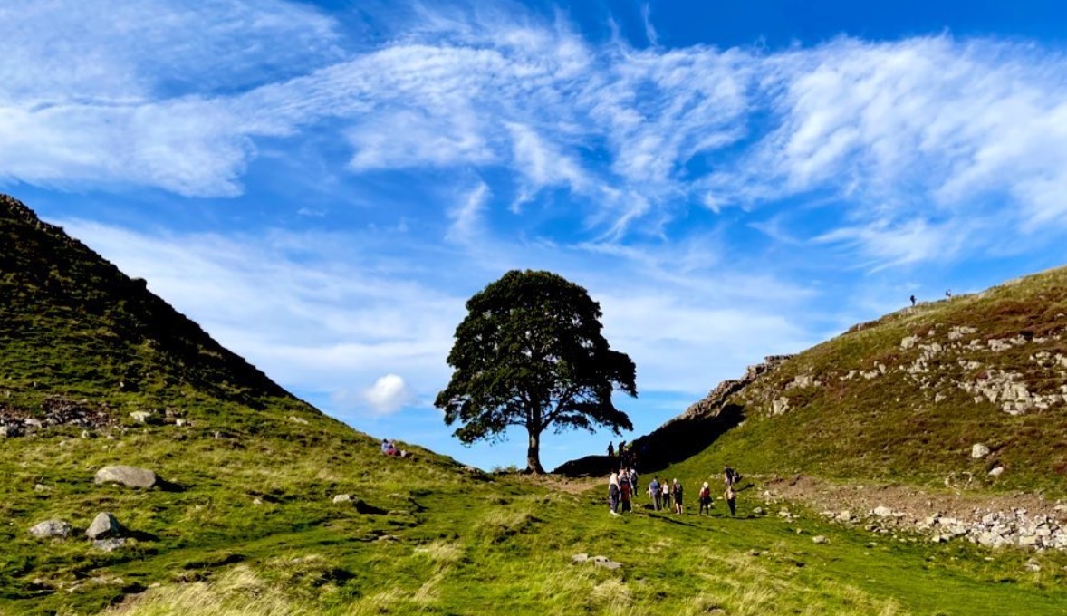 Two men found guilty of chopping down iconic UK tree