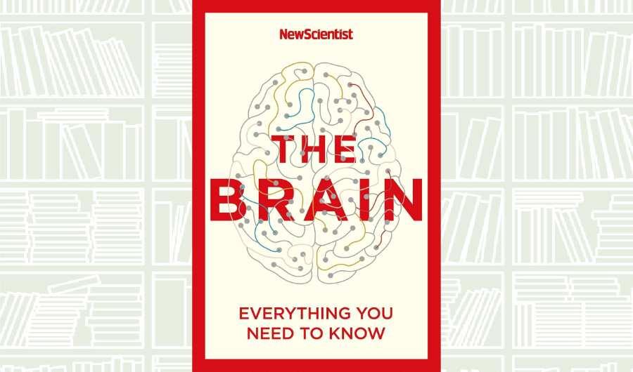 Book Review: ‘The Brain’ by Alison George