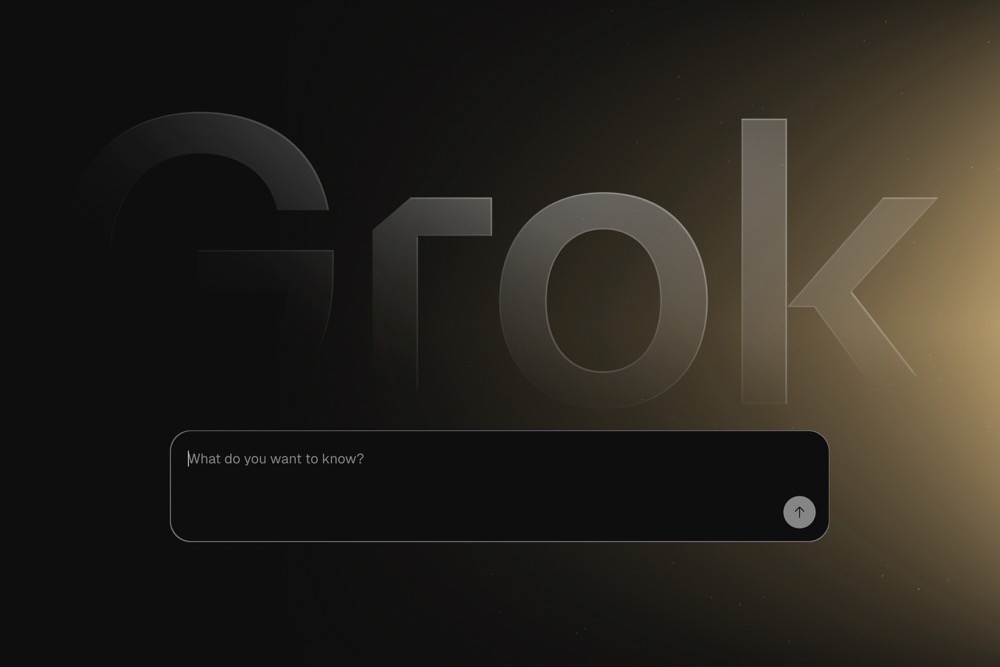Why was Elon Musk’s AI chatbot Grok preoccupied with South Africa’s racial politics?