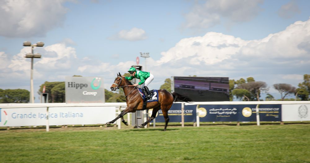 The fifth leg of UAE President’s Cup Series for Purebred Arabian Horses took place in Rome on Sunday. (Supplied)