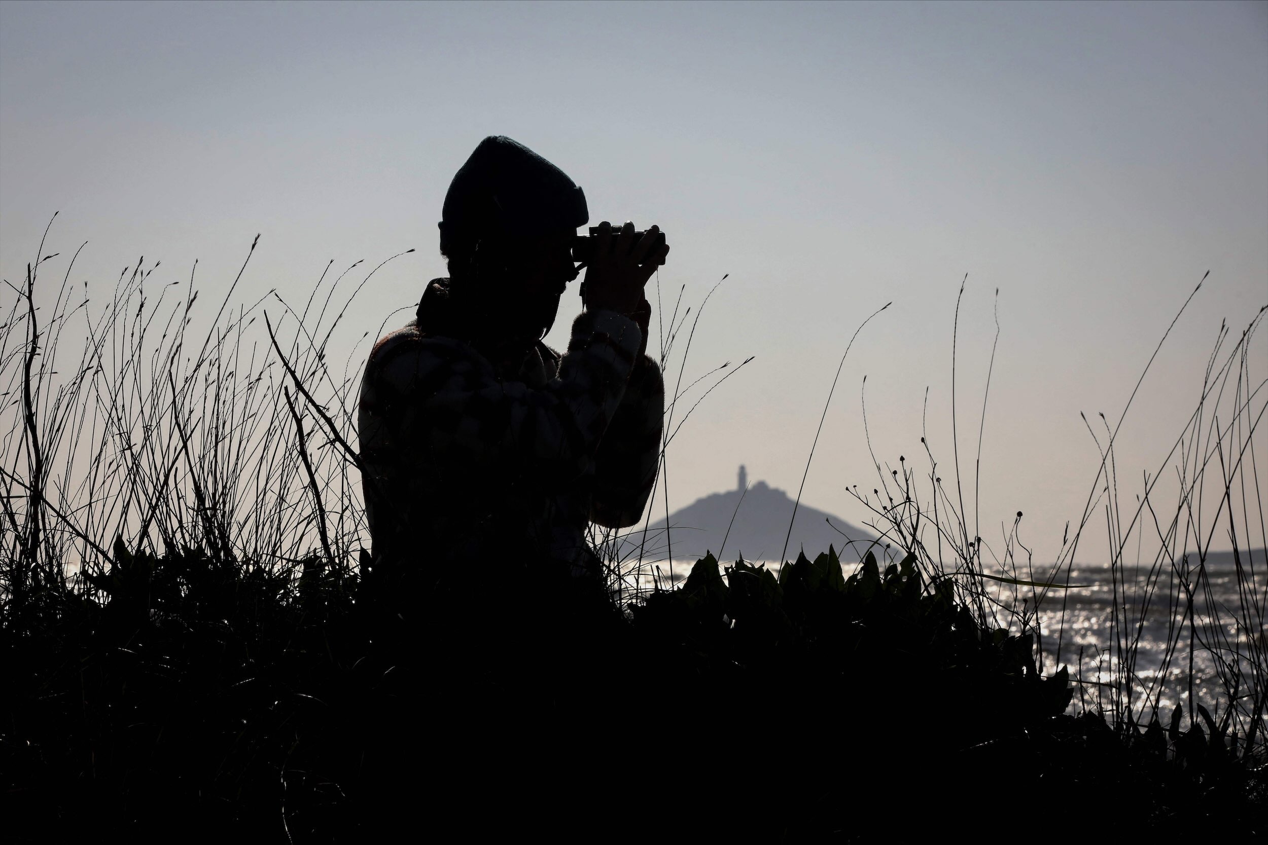 In tune with nature: expert sounds out all of Ireland’s bird species