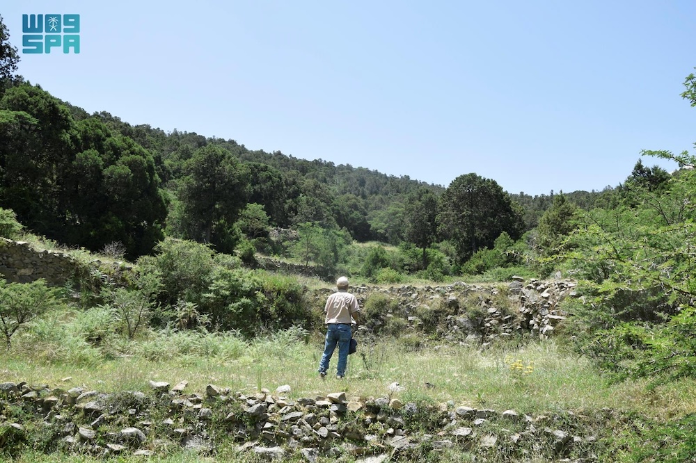 The study includes an assessment of forest conditions and risk factors, the development of a digital database, and a review of preventive measures and community practices. (SPA)