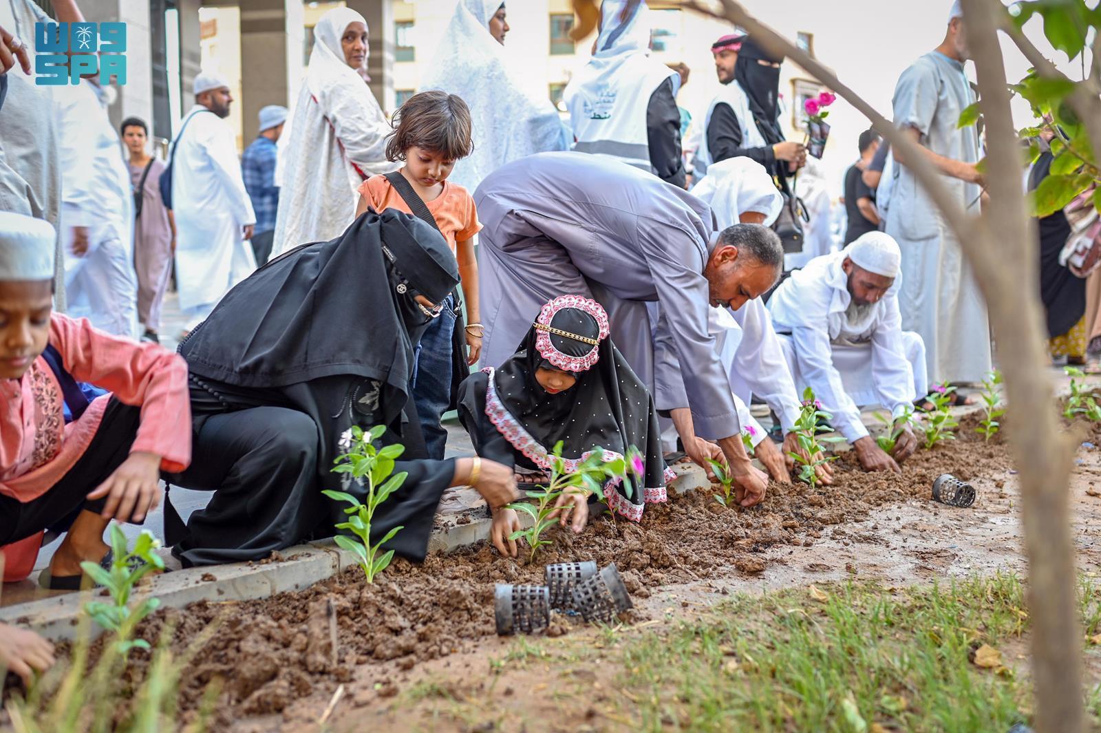 Madinah has solidified its position as the Kingdom’s largest producer of organic aromatic plants (SPA)