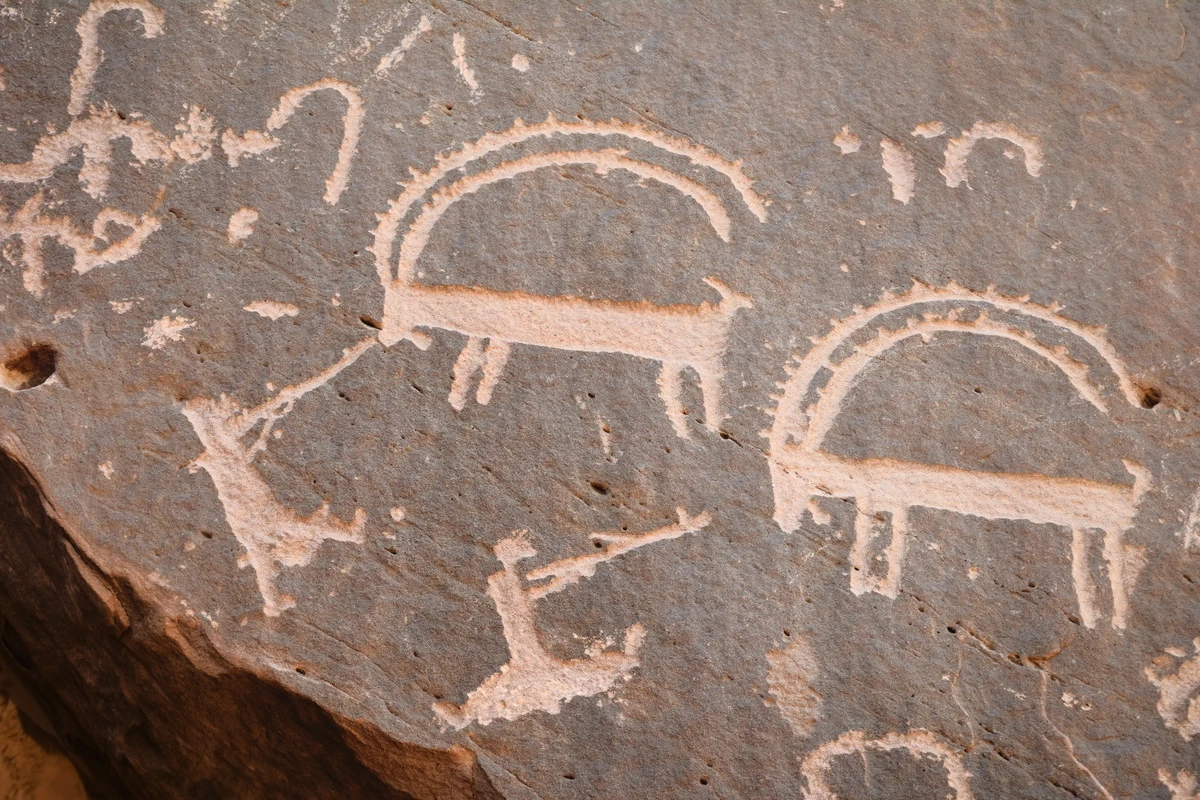 Ancient petroglyphs were among the sources studied by scientists to determine which species once roamed the Arabian peninsula. (Supplied)