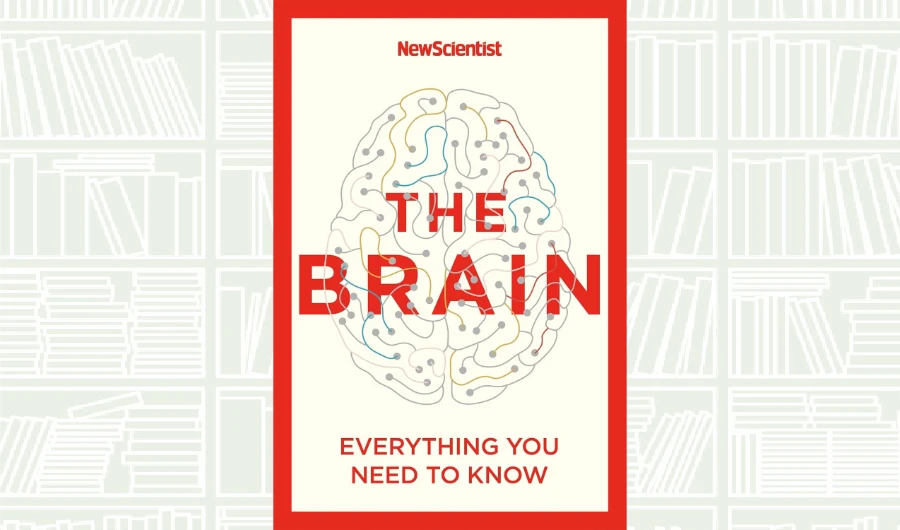 Book Review: ‘The Brain’ by Alison George