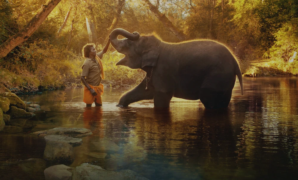 A still of caretaker Bomman with orphaned baby elephant Raghu from the Oscar-winning documentary "The Elephant Whisperers." (Netflix)