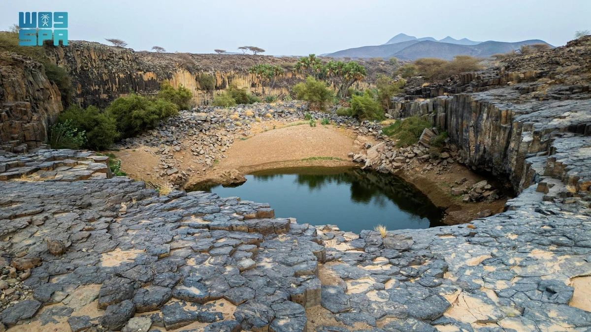 These formations are not just rigid rock structures, but natural sculptures. (SPA)