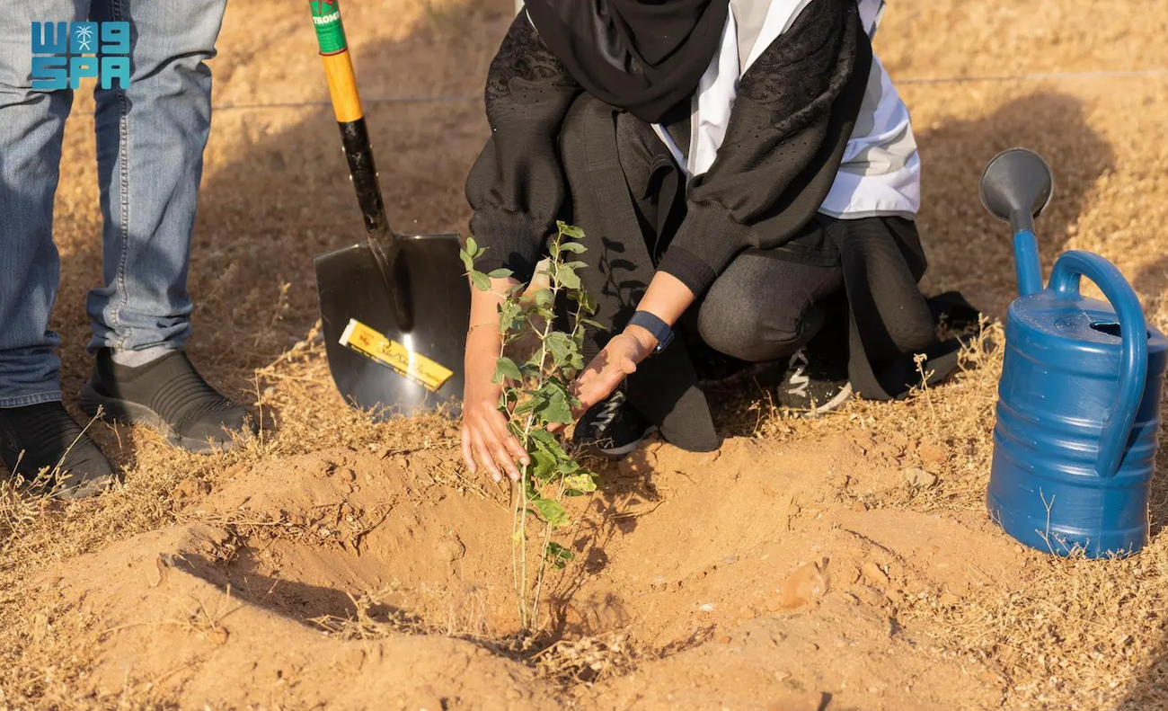 More than 31 million trees have been planted in Saudi Arabia’s Eastern Province as part of a nationwide afforestation project. (SPA)