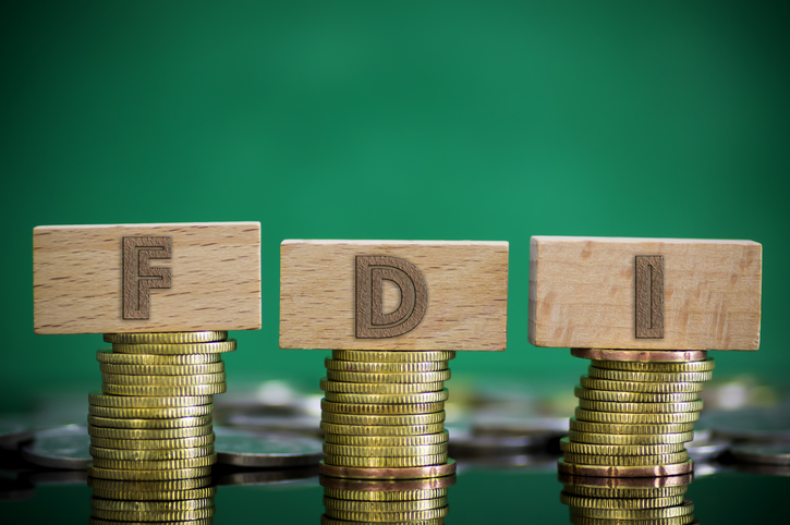 FDI into developing economies slumps to lowest level since 2005: World Bank