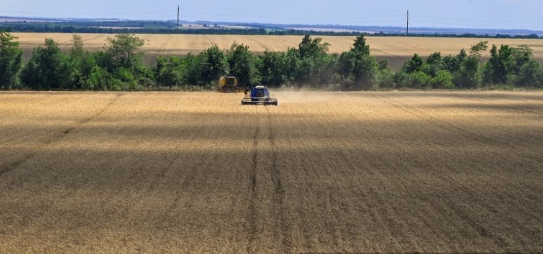 Combine harvesting winter wheat in the field of the Dnipro Waves Agricultural Production Cooperative in the village of Dniprovi Khvyli in Zaporizhzhia, Ukraine. (AFP)