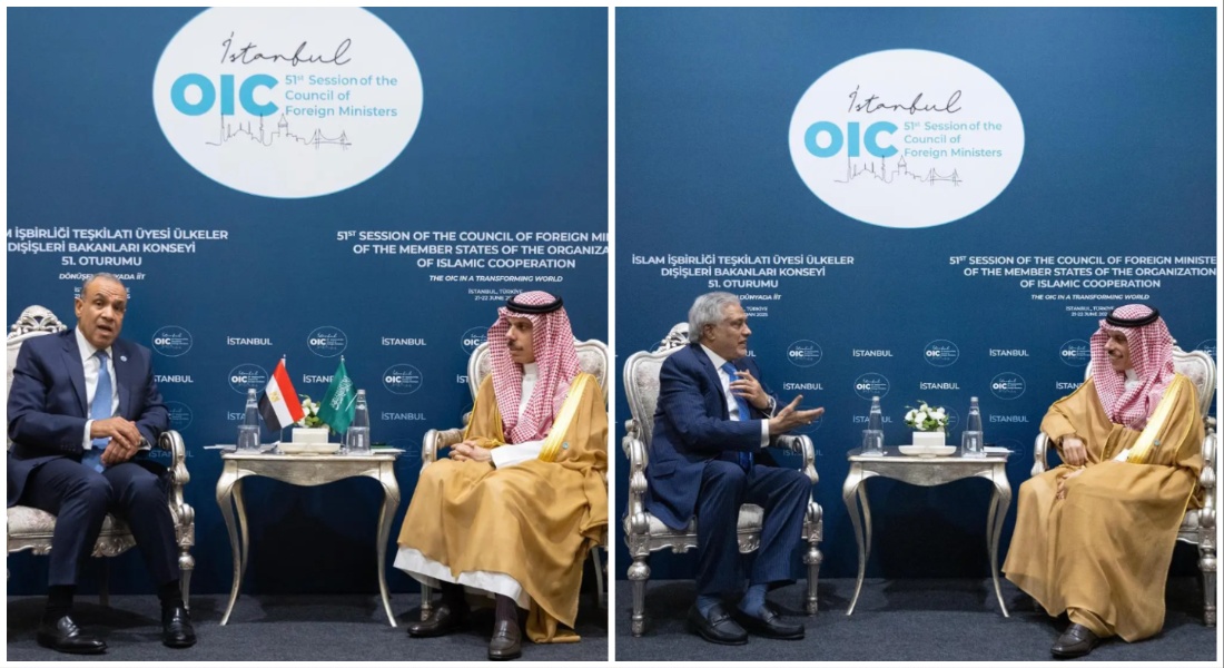 Saudi Foreign Minister Prince Faisal bin Farhan held separate meetings on Saturday with his Egyptian and Pakistani counterparts in Istanbul. (SPA)