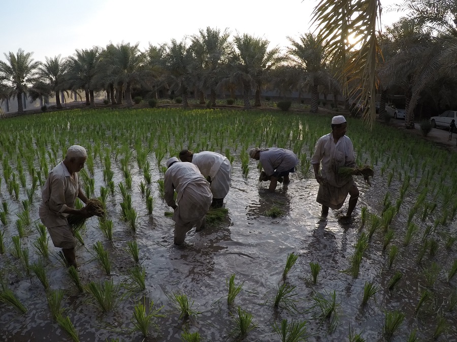 "Farmers planting their feet in the land" (2017). (Supplied)