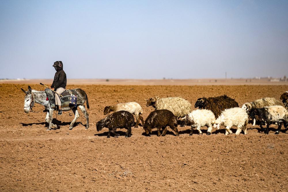 World leaders will be in Spain next week at a UN Development financing summit aimed at curbing global poverty, disease and the worst-case threats of climate change. (AFP file photo)