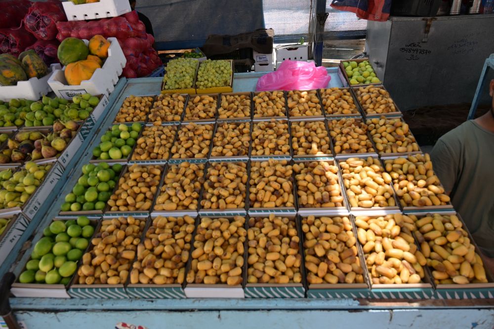 Al-Ahsa is witnessing the early signs of its annual date harvest, with farmers beginning to reap the season’s first rutab. (Supplied)