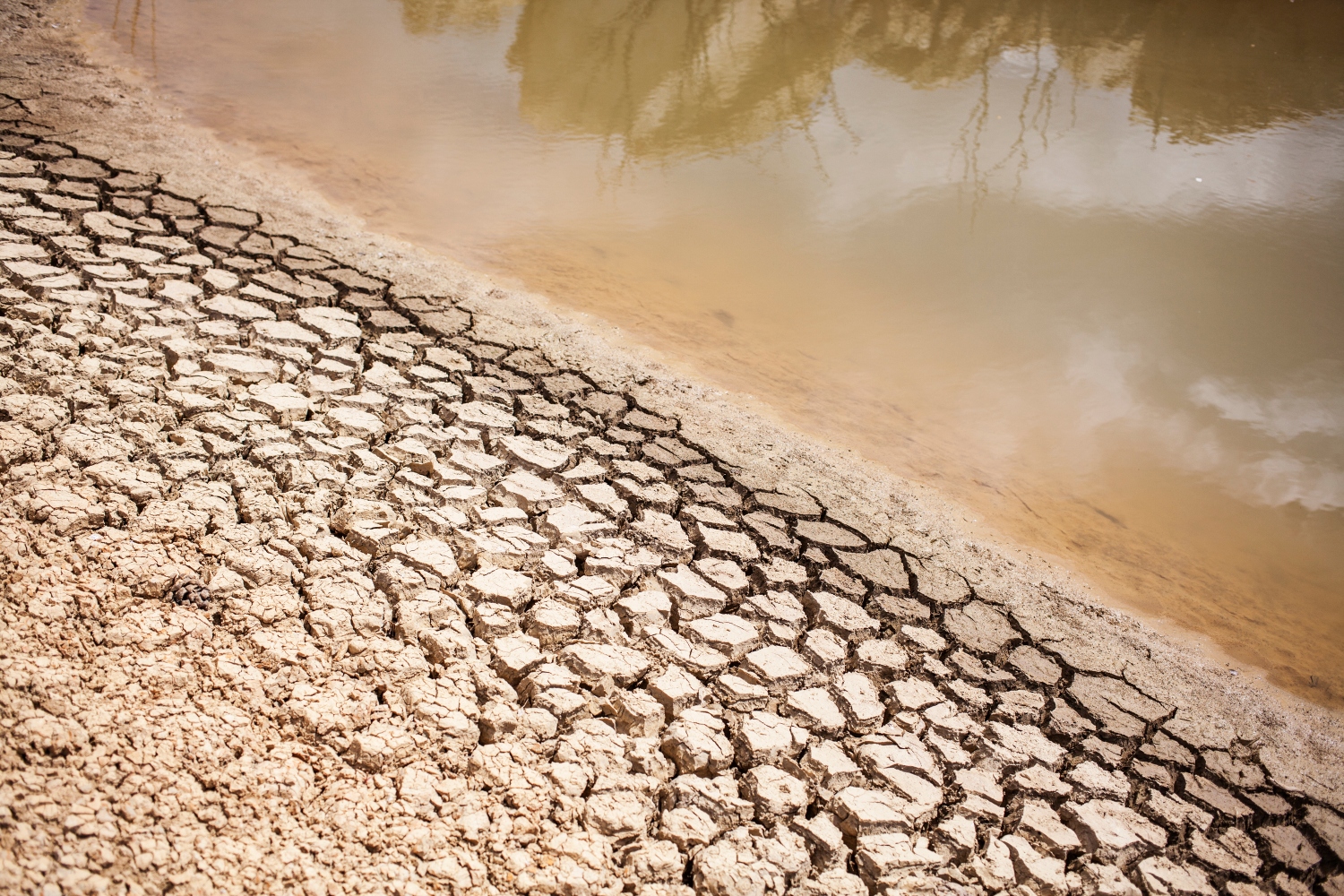 While Africa contributes only a tiny fraction of global emissions, it is bearing the heaviest burden of climate change(File/AFP)