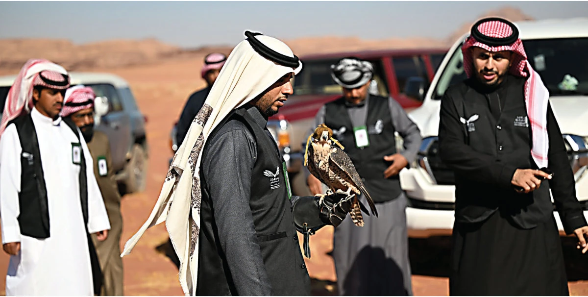 NEOM is working in partnership with Saudi Falcons Club and other groups to reintroduce native falcon species to the Arabian Peninsula. (Supplied)