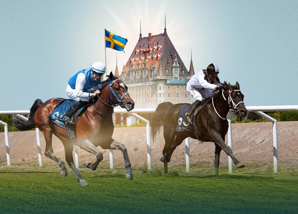 UAE President’s Cup Series for Purebred Arabian Horses makes a landmark stop in Sweden. supplied