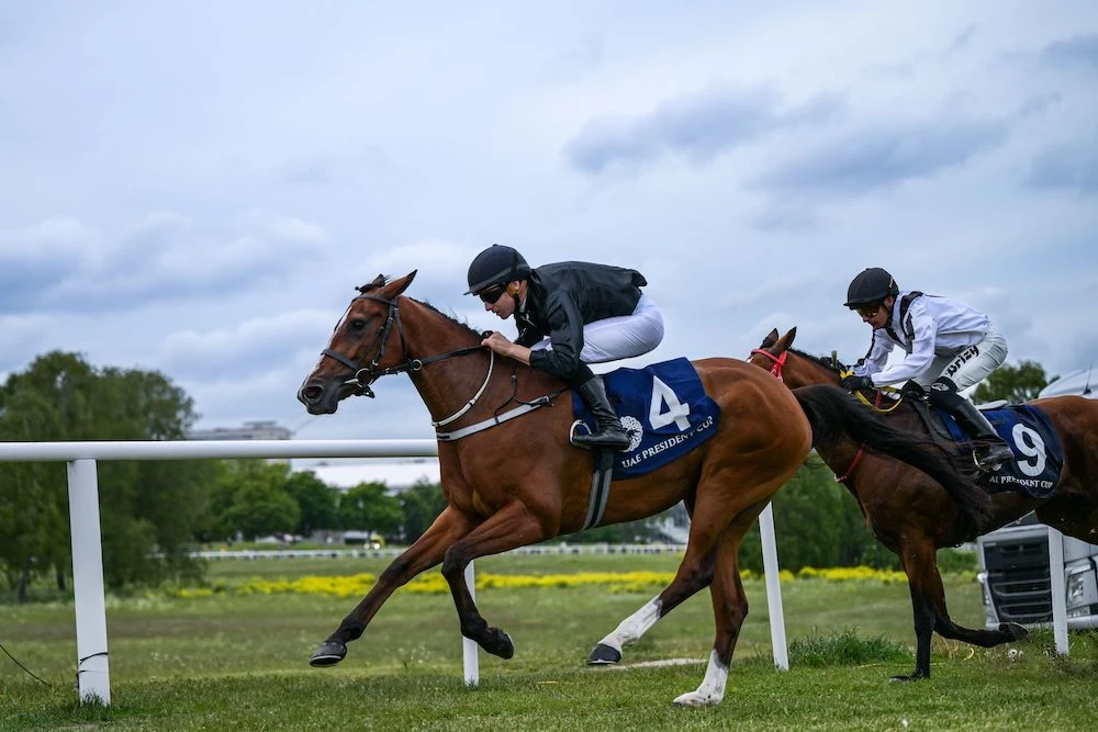 The sixth leg of the UAE President’s Cup for Purebred Arabian Horses was held at Gardet Turf Racecourse in Stockholm on Friday. (Supplied)