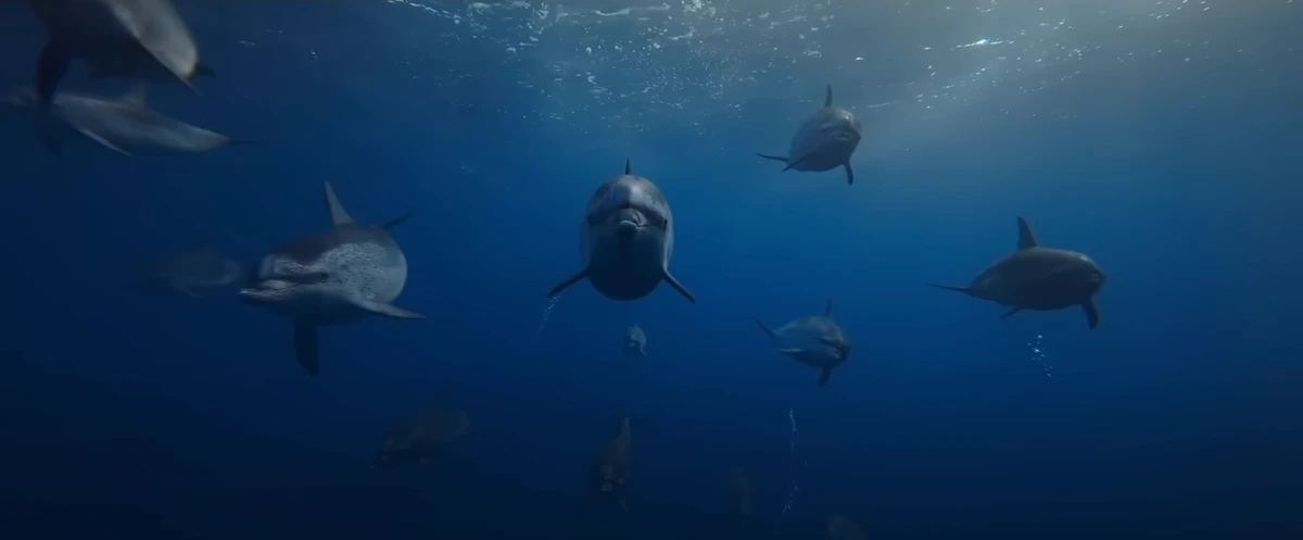 Ocean with David Attenborough. (Supplied)