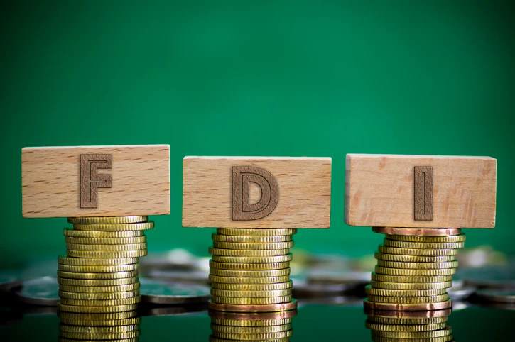FDI into developing economies slumps to lowest level since 2005: World Bank