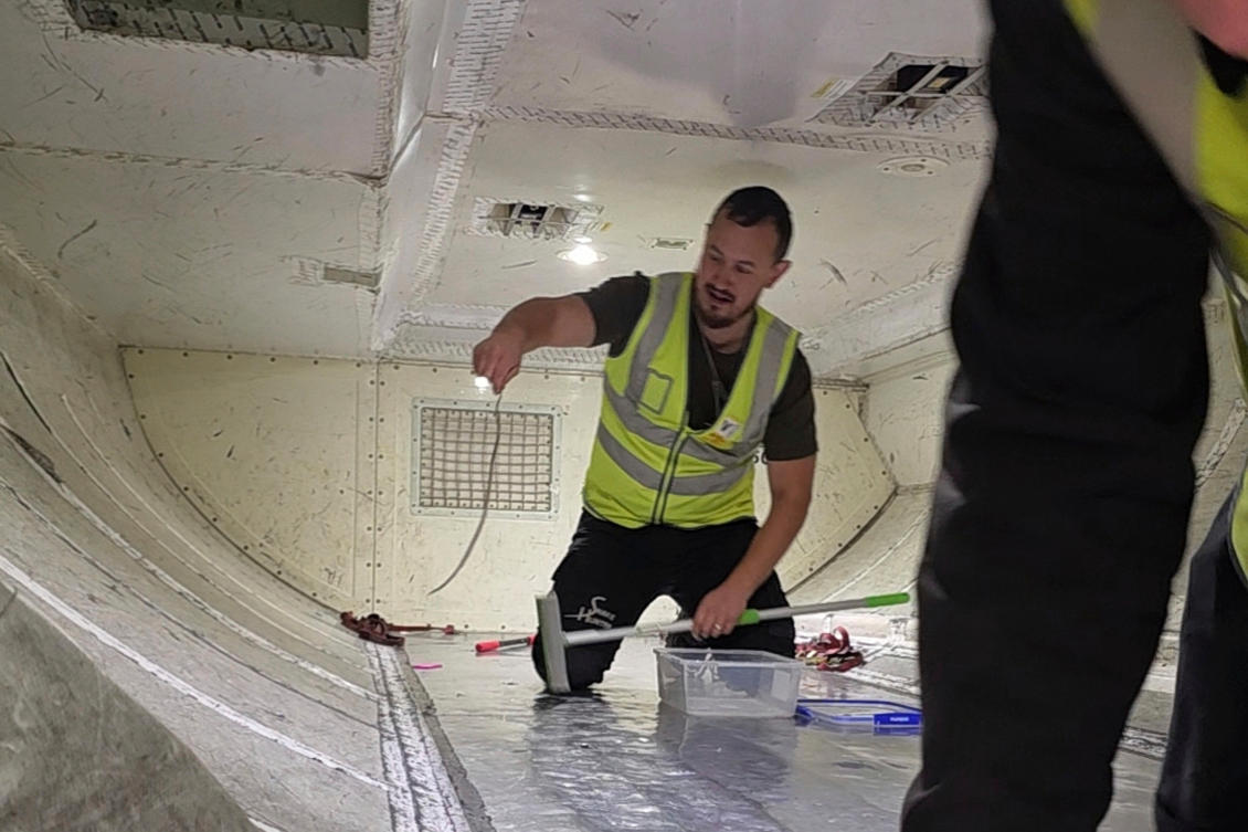 In thit photo released by The Snake Hunter, snake handler Mark Pelley lifts a a harmless 60-centimeter (2-foot) green tree snake in the cargo hold of a plane at Melbourne Airport, Tuesday, July 1, 2025. (The Snake Hunter via AP)